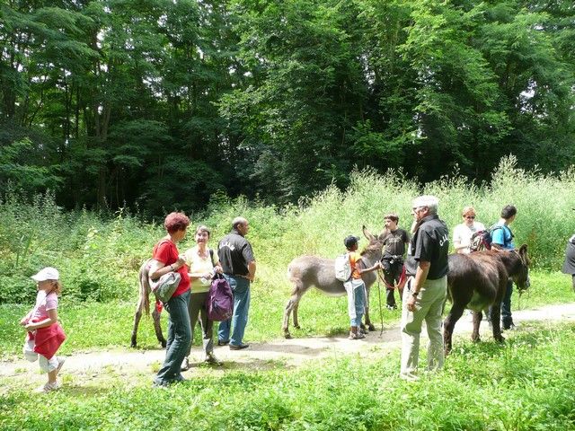 Le Parc 19 juillet 2012 (29).jpg